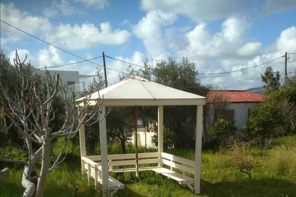 Studio Astero Pefki Exterior foto